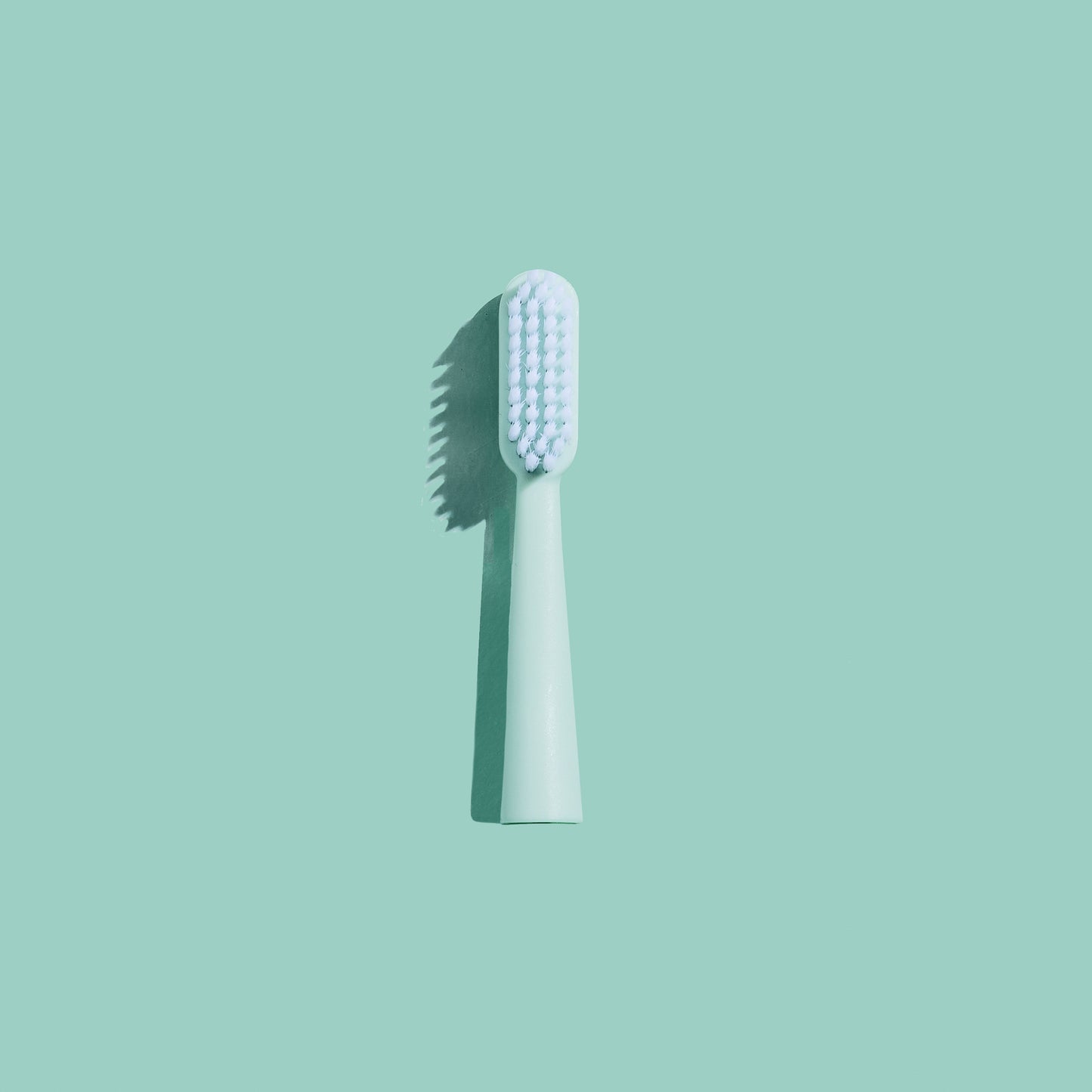Manual Toothbrush Head
