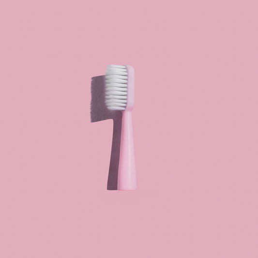 Manual Toothbrush Head