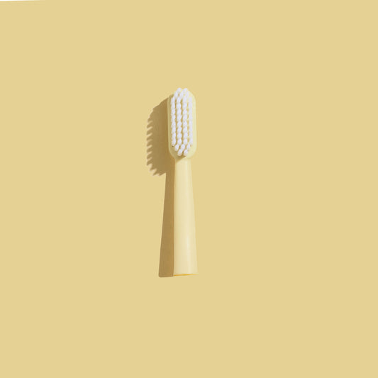 Manual Toothbrush Head