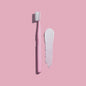 Manual Toothbrush